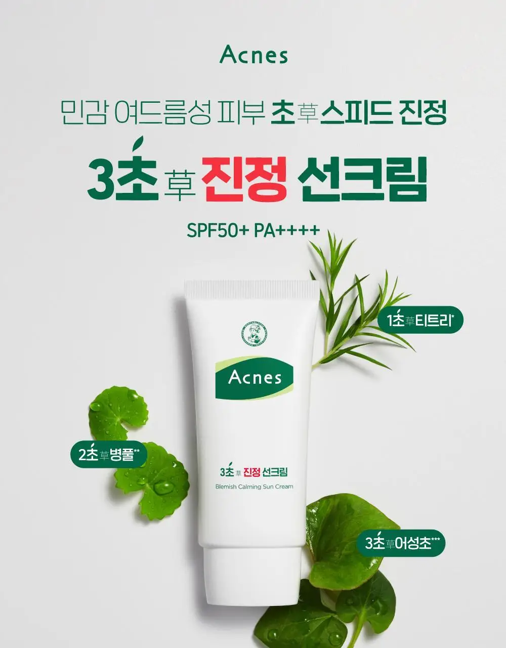 [보송/톤업] 아크네스 3초 진정 선크림 50ml 1+1 기획 상세페이지 3